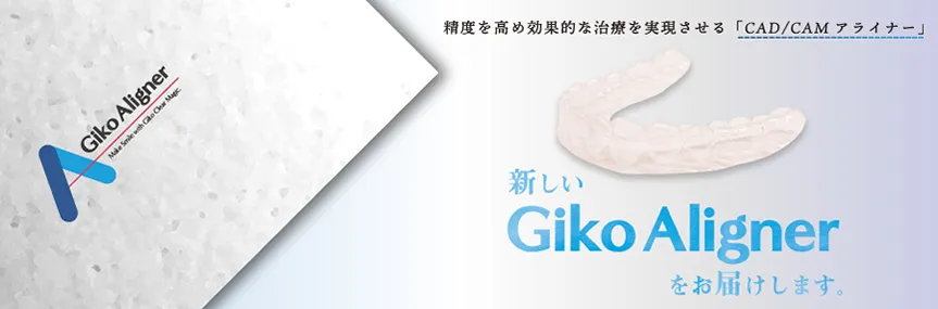 ギコウアライナー